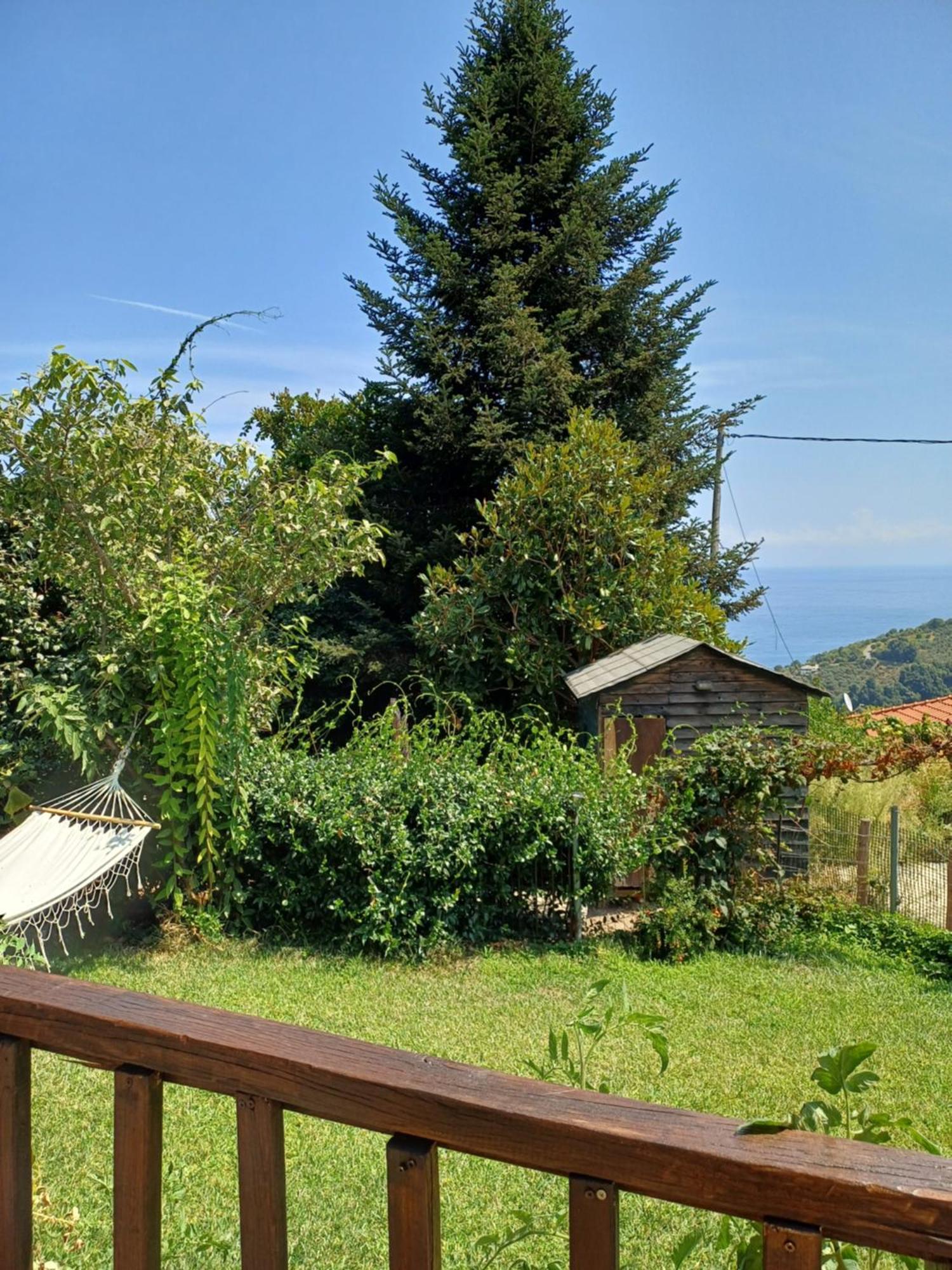 Áyios Dhimítrios Efi'S Guest House מראה חיצוני תמונה
